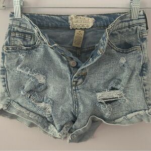 Altra’d State Jean Shorts Size 26/3